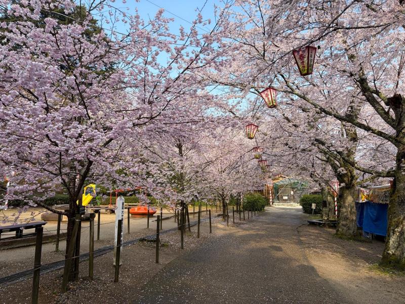 遊具広場前